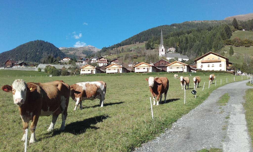 Moelltaler Ferienhaeuser Großkirchheim Екстериор снимка
